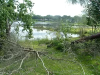 DSCF0042.webp
