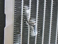 IMG_0205.webp