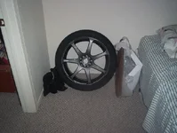 100_0223.webp