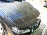 VisCFHood 046.webp