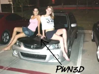 owned.webp