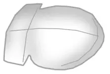 ufo.webp