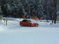 snowed3.webp