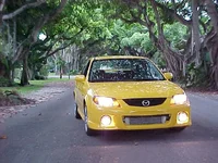 car_middle_tree.webp