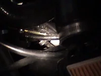 dsc00041-1.webp