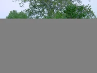 dsc01198.webp