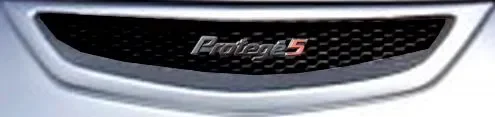 p5inthemiddleofthegrill.webp