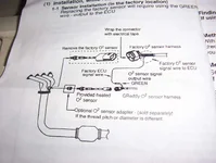 greddyp2.webp