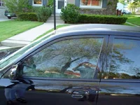 dsc00030 (2).webp