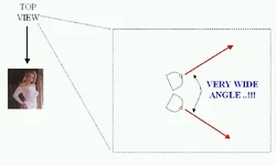 wide ones.webp