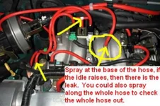 Vacuum line shot.webp