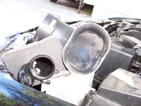 100_0295.webp
