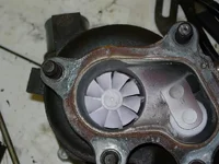 DSCN0895.webp