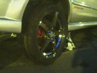 41929466373_0.webp