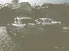 prote&celica2.webp