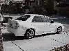 protege4.webp
