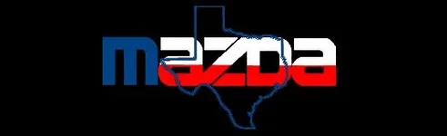 TEXAS4.webp