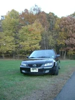Autumn 1.webp