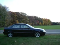 Autumn 2.webp