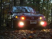 Autumn 3.webp