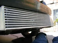 IMG_0928x.webp