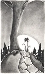 tree1.webp