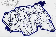 8.webp