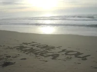 DSCN0980.webp