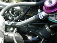 hiboost dp 017.webp