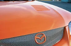 p169374_image_large.webp
