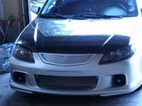 EyelidFull.webp