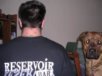 DSCN0480.webp