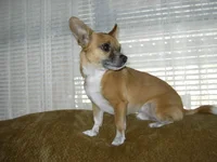 IMGP0452.webp