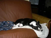 IMGP0415.webp