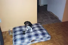 Mika#2.webp