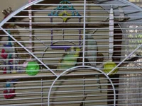 IMGP0463.webp
