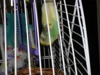 IMGP0443.webp