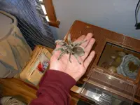 IMGP0457.webp