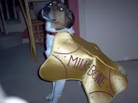IM000071.webp