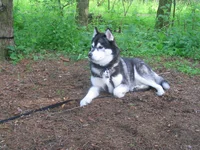 109_0967.webp