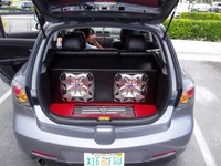 P8110210.webp