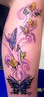 my butterflies.webp