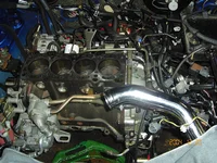 Picture 007.webp