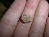 DSCF0005.webp