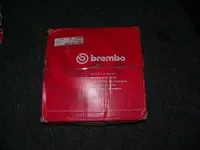 P1000198.webp