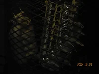 Picture 026.webp