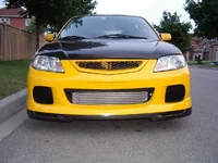 dg_molded3.webp