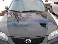 Painted hood2.webp