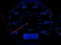 speedo.webp