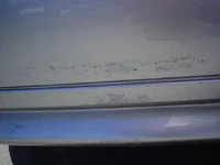 DSC02761.webp